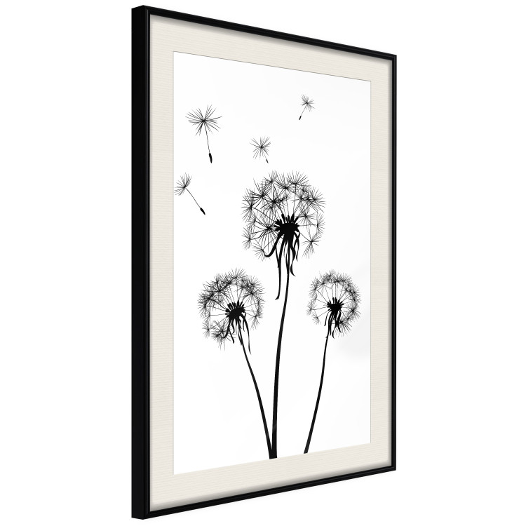 Wall Poster Flying dandelions - black and white composition with three flowers in the wind 115073 additionalImage 3