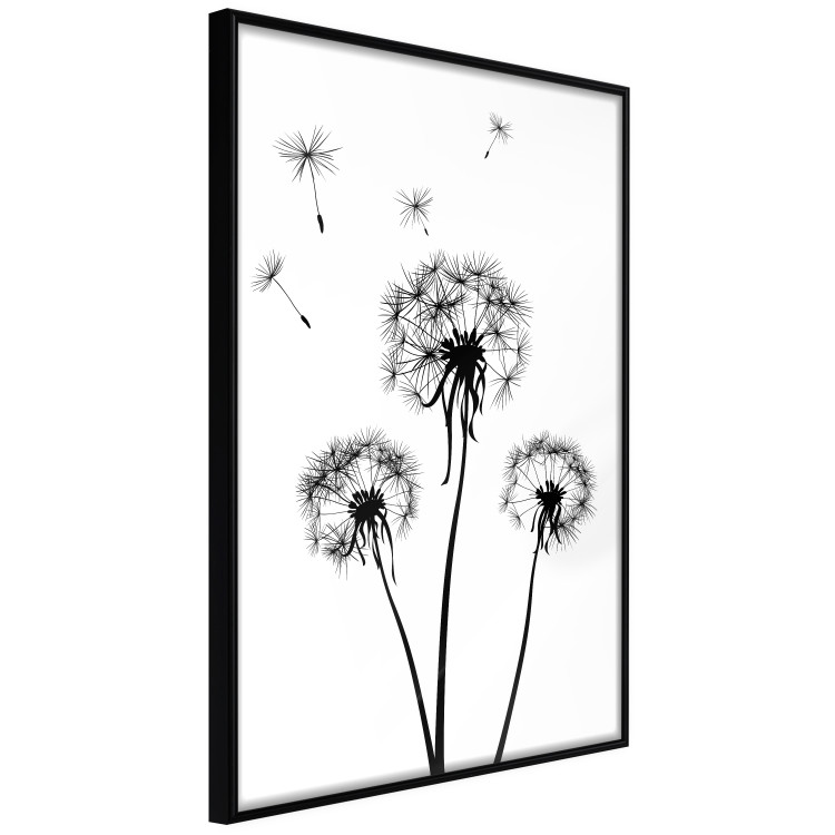 Wall Poster Flying dandelions - black and white composition with three flowers in the wind 115073 additionalImage 11