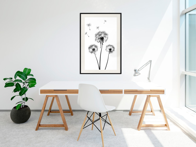Wall Poster Flying dandelions - black and white composition with three flowers in the wind 115073 additionalImage 22