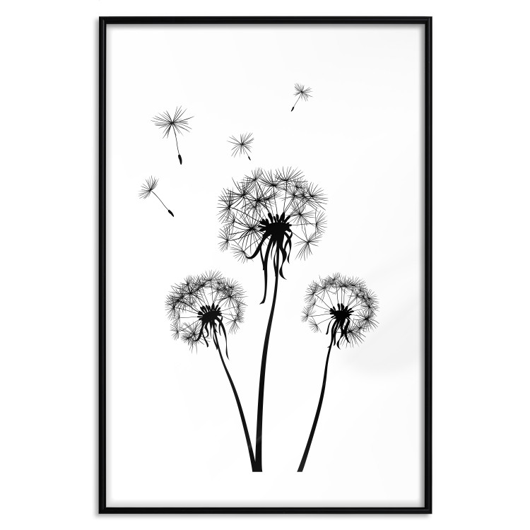 Wall Poster Flying dandelions - black and white composition with three flowers in the wind 115073 additionalImage 17