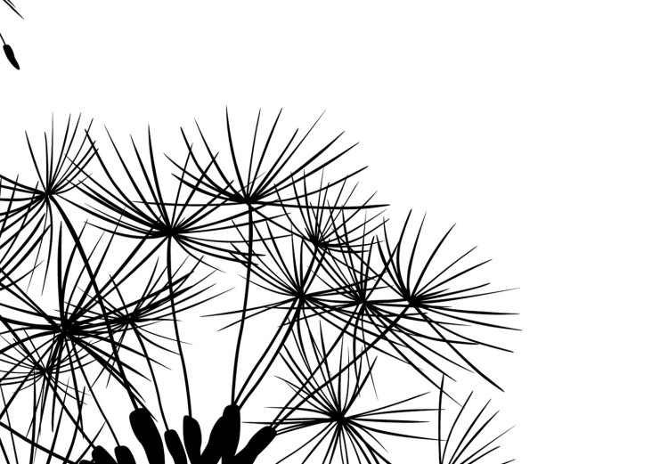 Wall Poster Flying dandelions - black and white composition with three flowers in the wind 115073 additionalImage 10