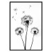 Wall Poster Flying dandelions - black and white composition with three flowers in the wind 115073 additionalThumb 24