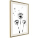 Wall Poster Flying dandelions - black and white composition with three flowers in the wind 115073 additionalThumb 2