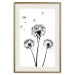 Wall Poster Flying dandelions - black and white composition with three flowers in the wind 115073 additionalThumb 19