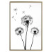 Wall Poster Flying dandelions - black and white composition with three flowers in the wind 115073 additionalThumb 20