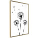 Wall Poster Flying dandelions - black and white composition with three flowers in the wind 115073 additionalThumb 13