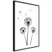 Wall Poster Flying dandelions - black and white composition with three flowers in the wind 115073 additionalThumb 12