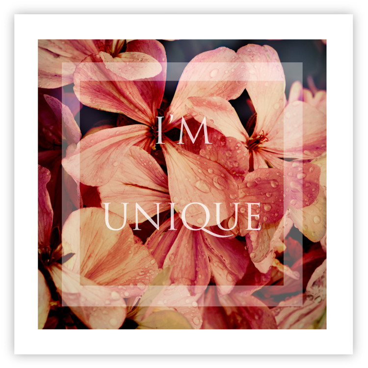 Poster I'm unique (square) - colorful flowers and decorative white text in a frame 116373 additionalImage 25
