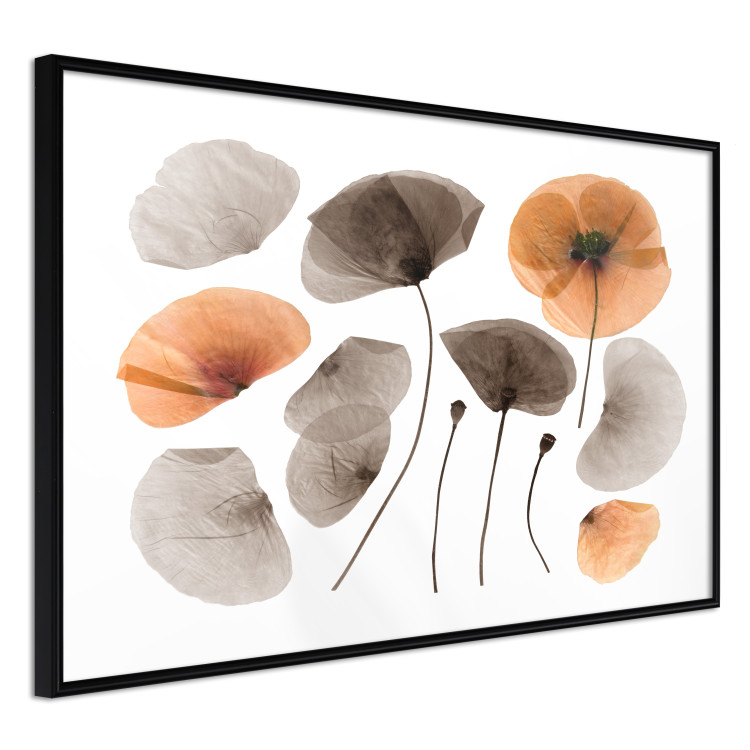 Wall art in set Flowery meadow 124914 additionalImage 3