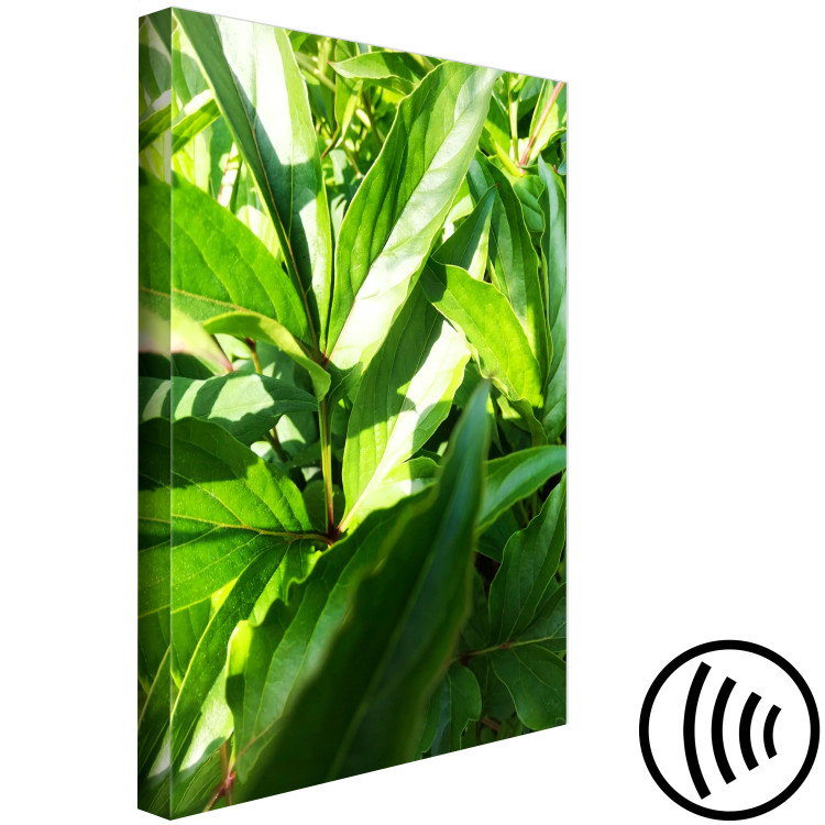 Canvas Art Print Green Field of Leaves (1-part) - Exotic Plant Forest in Nature 122673 additionalImage 6