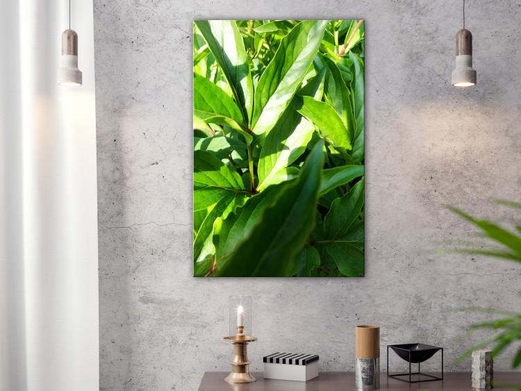 Canvas Art Print Green Field of Leaves (1-part) - Exotic Plant Forest in Nature 122673 additionalImage 3