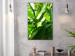 Canvas Art Print Green Field of Leaves (1-part) - Exotic Plant Forest in Nature 122673 additionalThumb 3