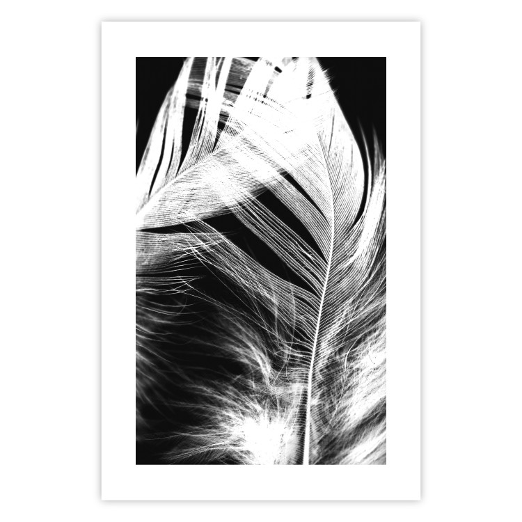 Wall Poster White Feather - black and white bird feathers on a dark contrasting background 129773 additionalImage 19