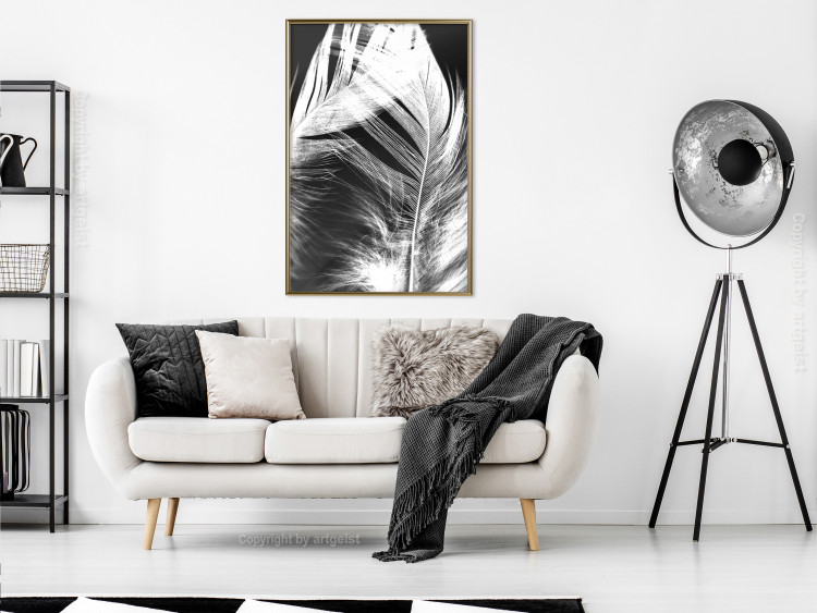 Wall Poster White Feather - black and white bird feathers on a dark contrasting background 129773 additionalImage 6