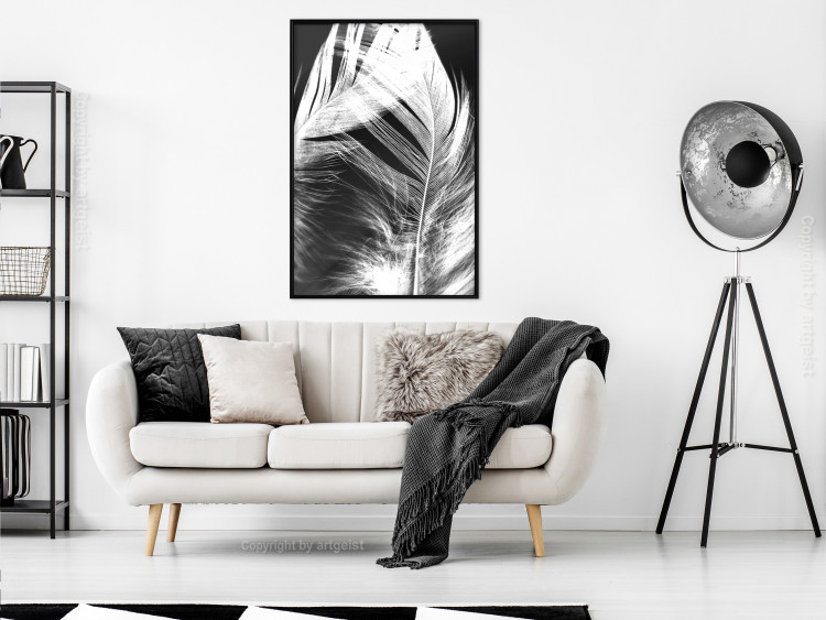 Wall Poster White Feather - black and white bird feathers on a dark contrasting background 129773 additionalImage 7