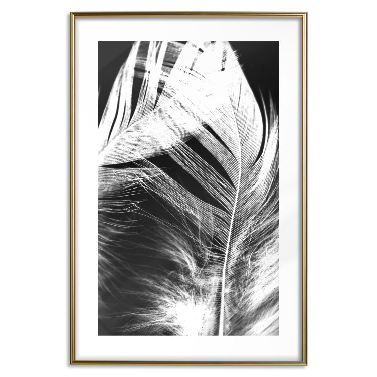 Wall Poster White Feather - black and white bird feathers on a dark contrasting background 129773 additionalImage 14