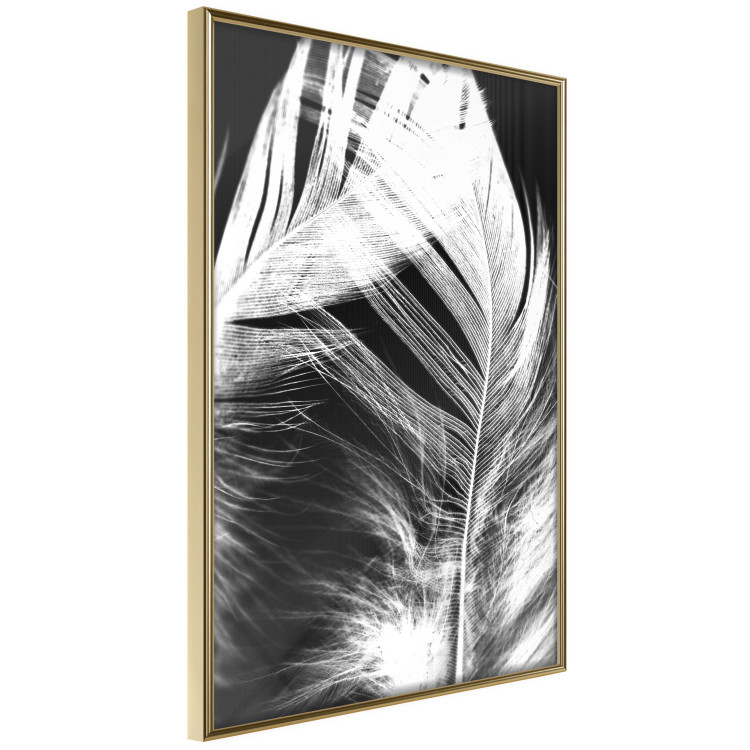 Wall Poster White Feather - black and white bird feathers on a dark contrasting background 129773 additionalImage 10