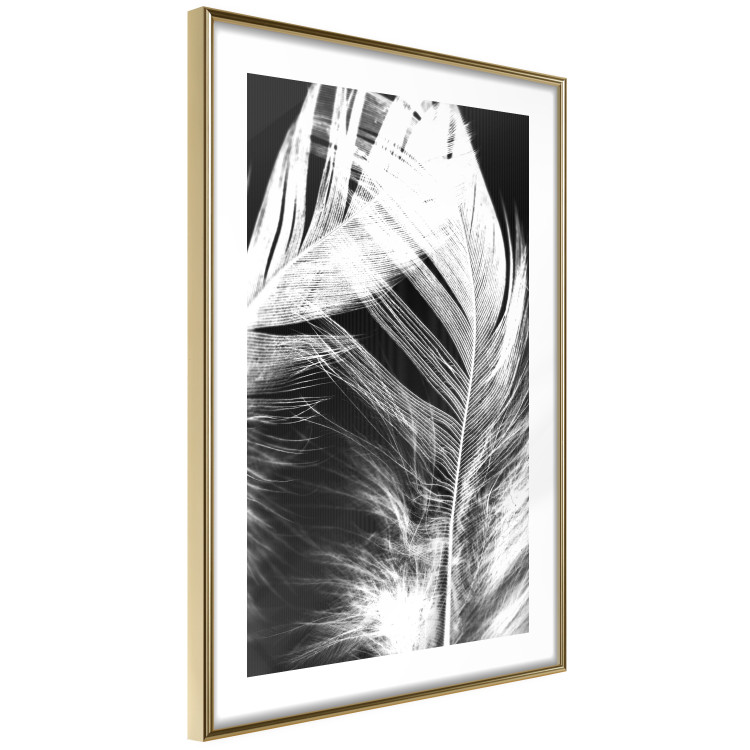 Wall Poster White Feather - black and white bird feathers on a dark contrasting background 129773 additionalImage 9