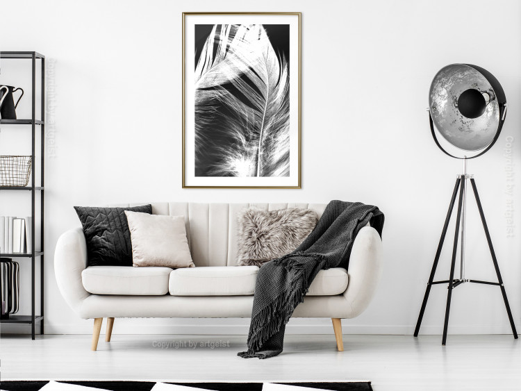 Wall Poster White Feather - black and white bird feathers on a dark contrasting background 129773 additionalImage 13