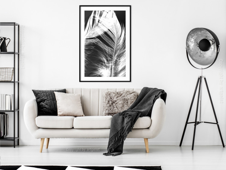 Wall Poster White Feather - black and white bird feathers on a dark contrasting background 129773 additionalImage 18