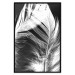 Wall Poster White Feather - black and white bird feathers on a dark contrasting background 129773 additionalThumb 16