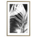 Wall Poster White Feather - black and white bird feathers on a dark contrasting background 129773 additionalThumb 14
