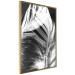 Wall Poster White Feather - black and white bird feathers on a dark contrasting background 129773 additionalThumb 10