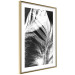 Wall Poster White Feather - black and white bird feathers on a dark contrasting background 129773 additionalThumb 9