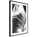 Wall Poster White Feather - black and white bird feathers on a dark contrasting background 129773 additionalThumb 12