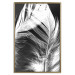 Wall Poster White Feather - black and white bird feathers on a dark contrasting background 129773 additionalThumb 17