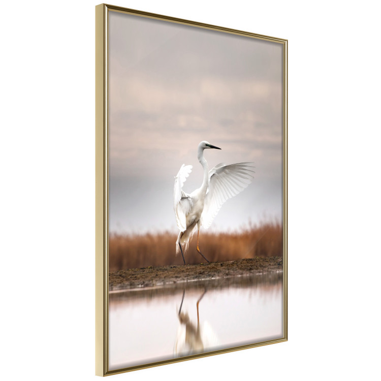 Poster Autumn Over the Lake - landscape of a white bird against a golden field 130373 additionalImage 14