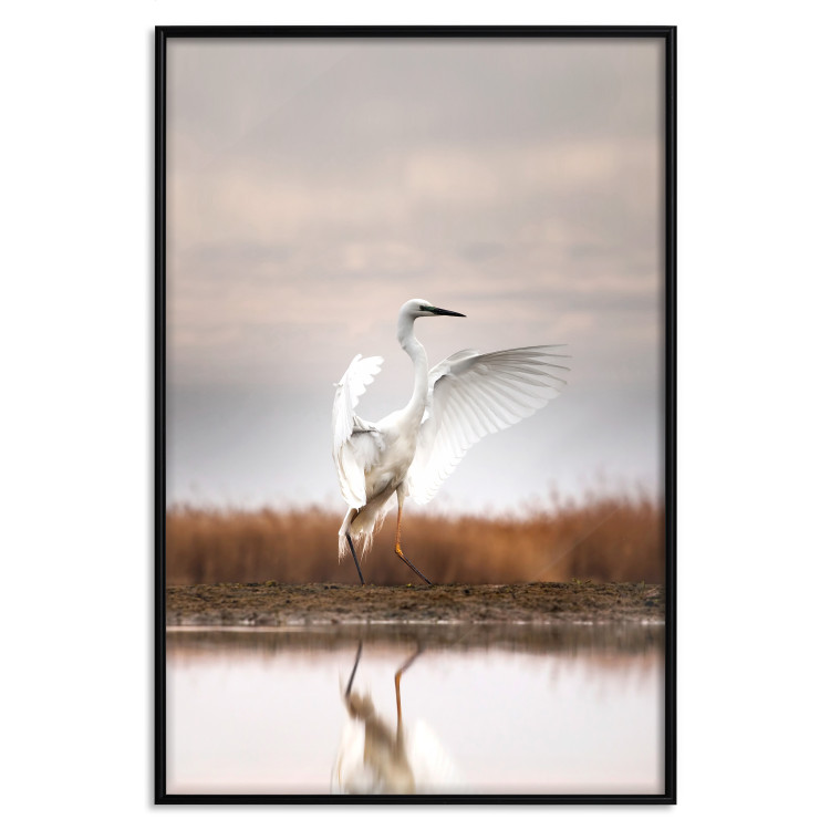 Poster Autumn Over the Lake - landscape of a white bird against a golden field 130373 additionalImage 17