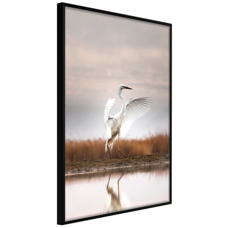 Poster Autumn Over the Lake - landscape of a white bird against a golden field 130373 additionalImage 13