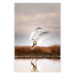 Poster Autumn Over the Lake - landscape of a white bird against a golden field 130373