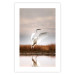Poster Autumn Over the Lake - landscape of a white bird against a golden field 130373 additionalThumb 18