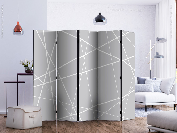 Room Divider Screen Modern Cobweb II - texture with uniform gray figures 133673 additionalImage 2