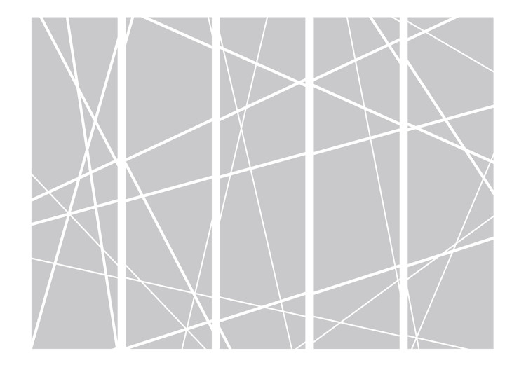 Room Divider Screen Modern Cobweb II - texture with uniform gray figures 133673 additionalImage 3