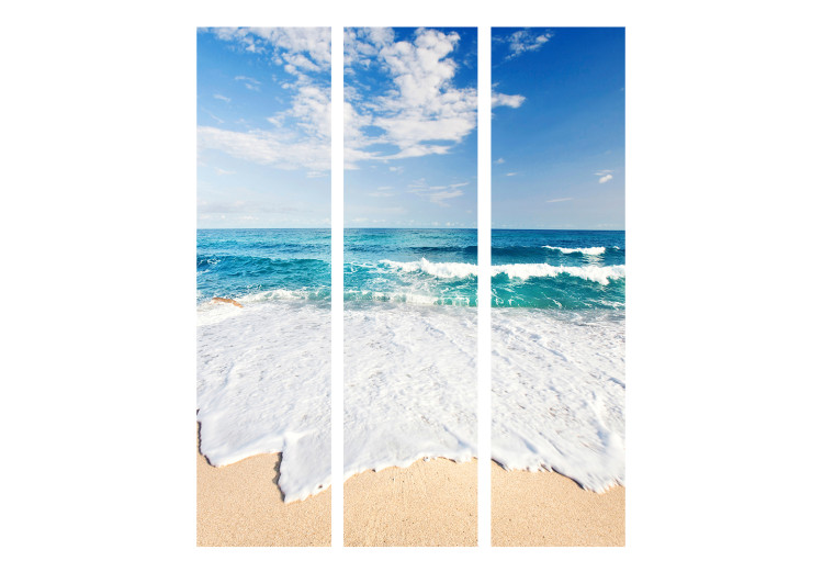 Room Divider Screen By the Seashore - seascape against a cloudy sky 134073 additionalImage 3