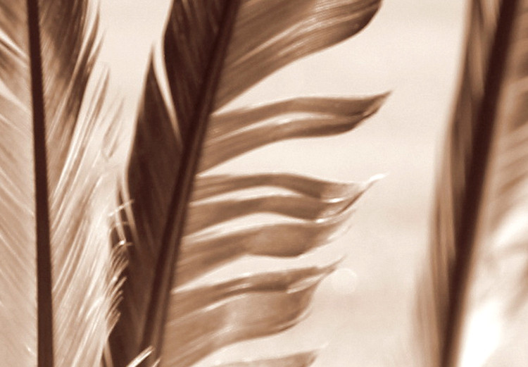 Canvas Three feathers - black and white image of three bird feathers 135273 additionalImage 5