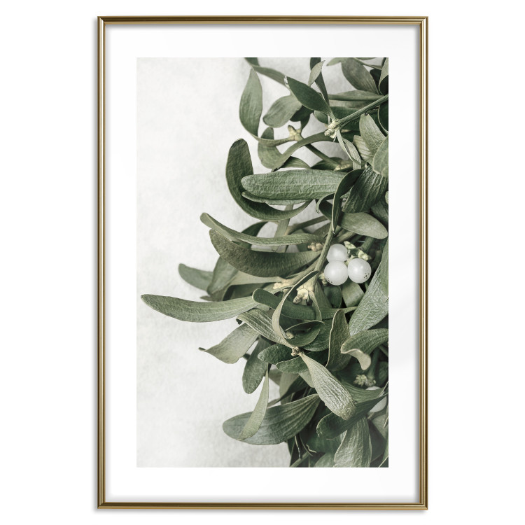 Poster Christmas Holly - plant related to Christmas 137973 additionalImage 4