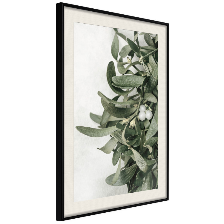 Poster Christmas Holly - plant related to Christmas 137973 additionalImage 20