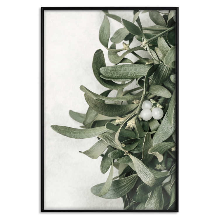 Poster Christmas Holly - plant related to Christmas 137973 additionalImage 10