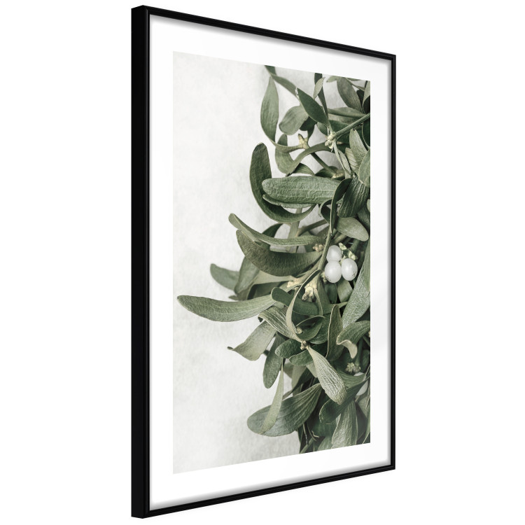 Poster Christmas Holly - plant related to Christmas 137973 additionalImage 22
