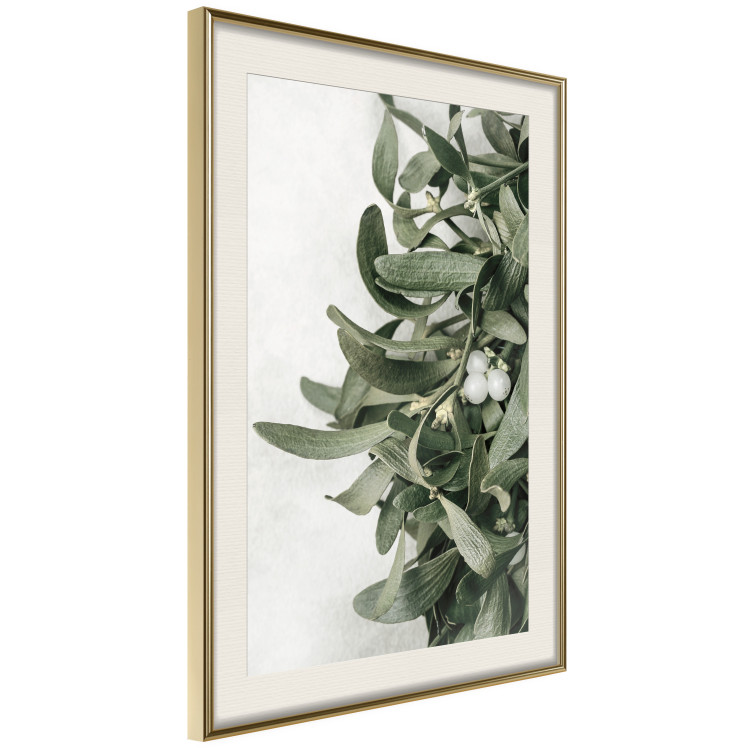 Poster Christmas Holly - plant related to Christmas 137973 additionalImage 19