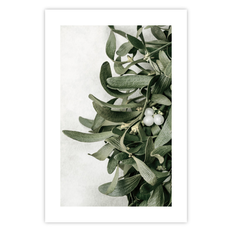Poster Christmas Holly - plant related to Christmas 137973 additionalImage 8