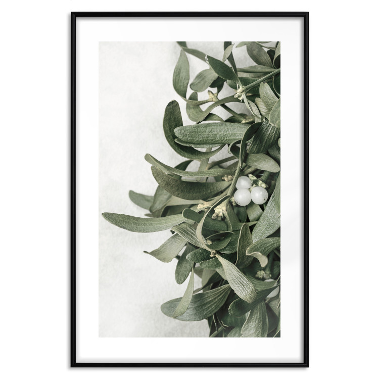 Poster Christmas Holly - plant related to Christmas 137973 additionalImage 5