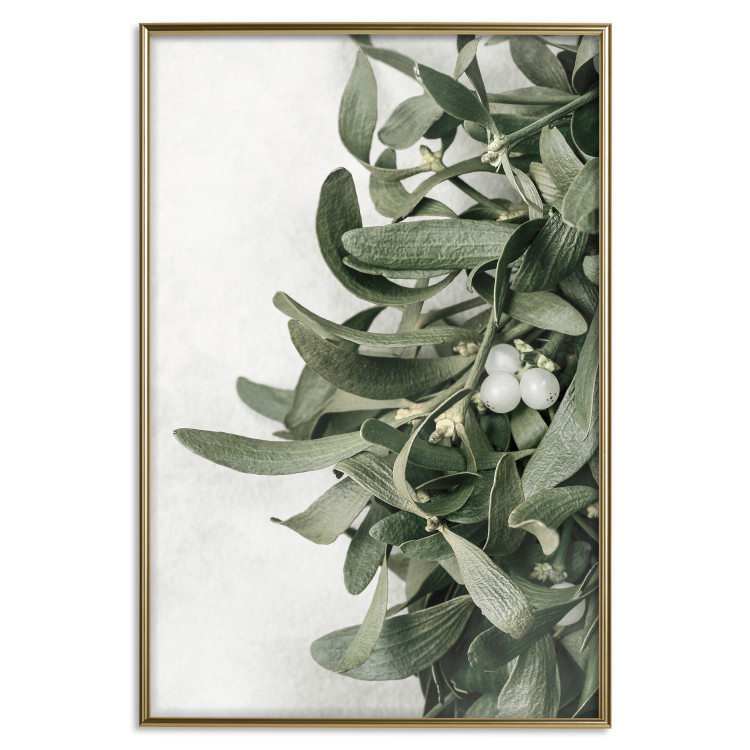 Poster Christmas Holly - plant related to Christmas 137973 additionalImage 4