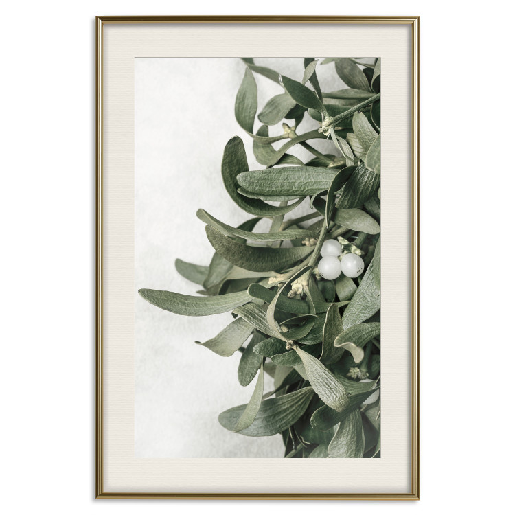 Poster Christmas Holly - plant related to Christmas 137973 additionalImage 2