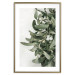 Poster Christmas Holly - plant related to Christmas 137973 additionalThumb 2