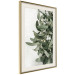 Poster Christmas Holly - plant related to Christmas 137973 additionalThumb 19